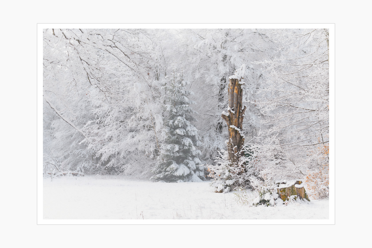 Max Schiefele Alle Bilder  DS20114 PRINT